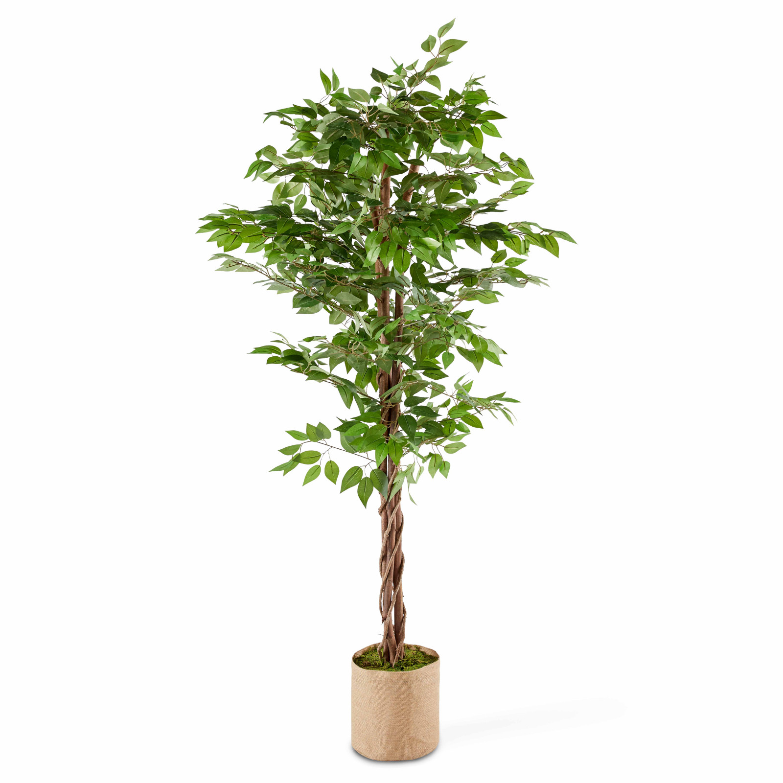 Plante artificiel Ficus 180 cm