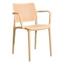 Lot de 2 chaises de terrasse avec accoudoirs en plastique