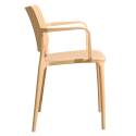 Lot de 2 chaises de terrasse avec accoudoirs en plastique