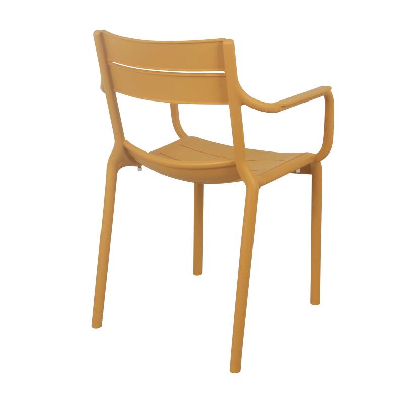 Chaise de terrasse en plastique avec accoudoirs (3/7)