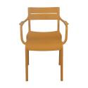 Chaise de terrasse en plastique avec accoudoirs