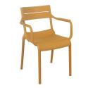 Lot de 4 chaises de terrasse avec accoudoirs en plastique