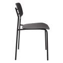 Lot de 2 chaises en acier et plastique