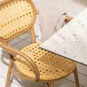Chaise de terrasse en aluminium et rotin synthétique avec accoudoirs