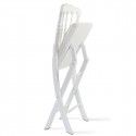 Lot de 2 chaises pliantes NAPOLEON III