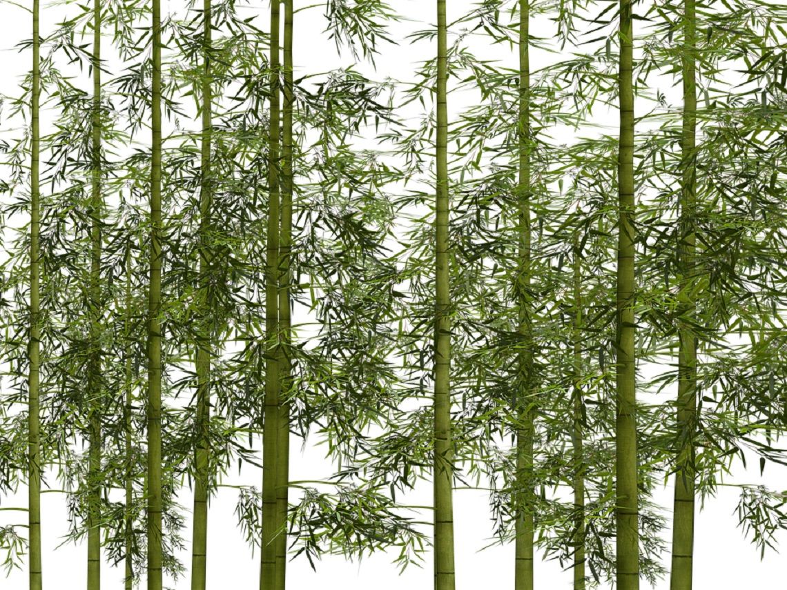 plante artificielle bambou artificiel pas cher
